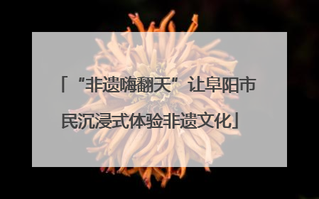 “非遗嗨翻天”让阜阳市民沉浸式体验非遗文化