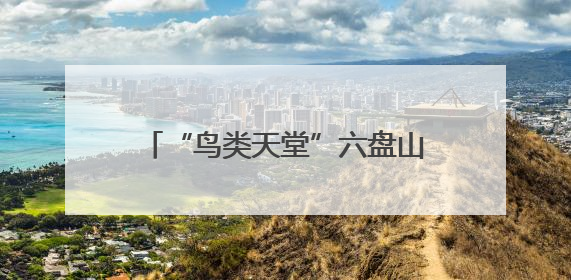 “鸟类天堂”六盘山再添新成员 鸟类记录增加至336种