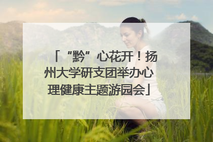 “黔”心花开！扬州大学研支团举办心理健康主题游园会