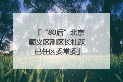 “80后”北京顺义区副区长杜跃已任区委常委