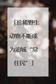 珍稀野生动物不断成为油城“常住民”