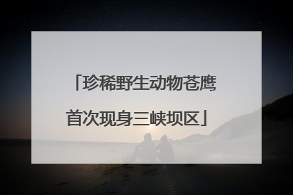 珍稀野生动物苍鹰首次现身三峡坝区