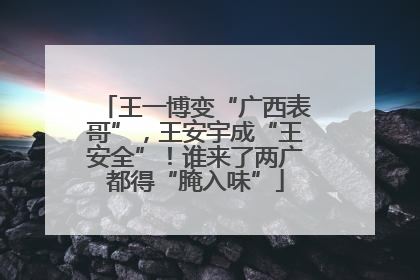 王一博变“广西表哥”，王安宇成“王安全”！谁来了两广都得“腌入味”