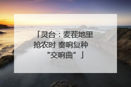灵台：麦茬地里抢农时 奏响复种“交响曲”