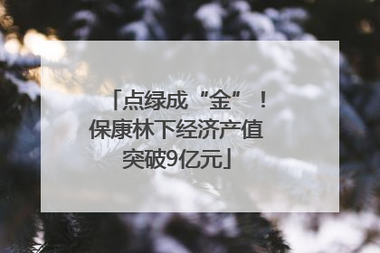 点绿成“金”！保康林下经济产值突破9亿元