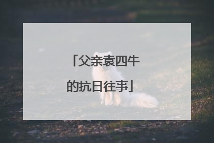 父亲袁四牛的抗日往事