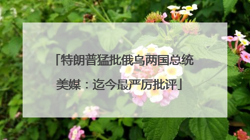 特朗普猛批俄乌两国总统 美媒：迄今最严厉批评