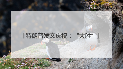 特朗普发文庆祝：“大胜”
