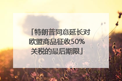 特朗普同意延长对欧盟商品征收50%关税的最后期限