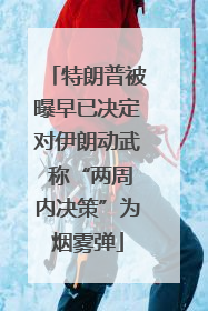 特朗普被曝早已决定对伊朗动武 称“两周内决策”为烟雾弹