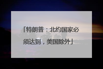 特朗普：北约国家必须达到，美国除外