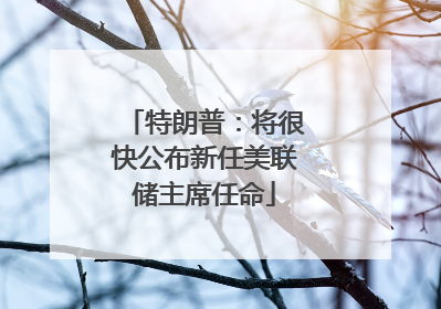 特朗普：将很快公布新任美联储主席任命