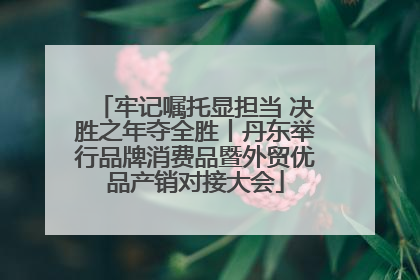 牢记嘱托显担当 决胜之年夺全胜丨丹东举行品牌消费品暨外贸优品产销对接大会