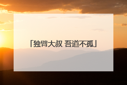 独臂大叔 吾道不孤