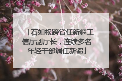 石如根跨省任新疆工信厅副厅长，连续多名年轻干部调任新疆