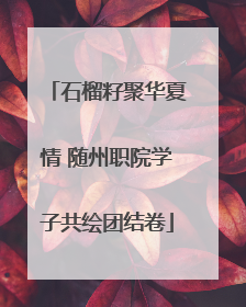 石榴籽聚华夏情 随州职院学子共绘团结卷