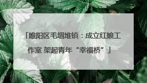 睢阳区毛堌堆镇：成立红娘工作室 架起青年“幸福桥”