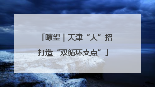 瞭望｜天津“大”招打造“双循环支点”