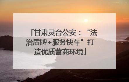 甘肃灵台公安：“法治盾牌+服务快车”打造优质营商环境