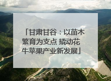 甘肃甘谷：以苗木繁育为支点 撬动花牛苹果产业新发展