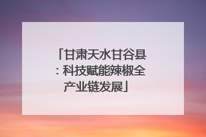 甘肃天水甘谷县：科技赋能辣椒全产业链发展