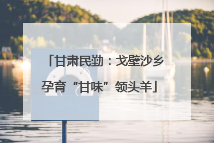 甘肃民勤：戈壁沙乡孕育“甘味”领头羊