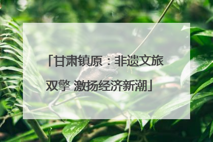 甘肃镇原：非遗文旅双擎 激扬经济新潮