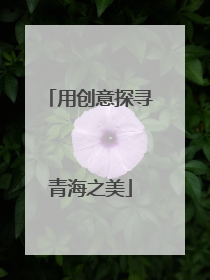用创意探寻青海之美