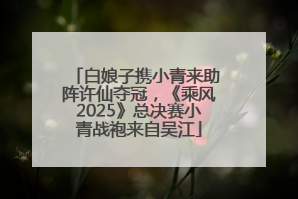 白娘子携小青来助阵许仙夺冠，《乘风2025》总决赛小青战袍来自吴江