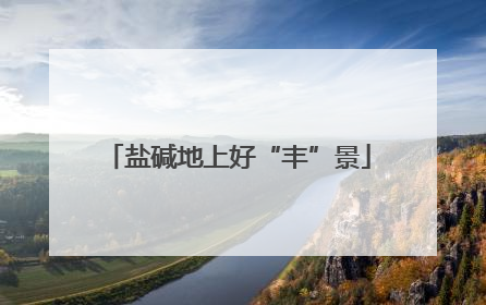 盐碱地上好“丰”景
