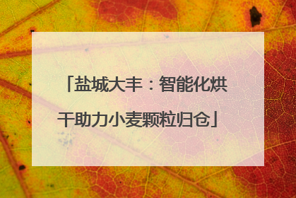 盐城大丰：智能化烘干助力小麦颗粒归仓