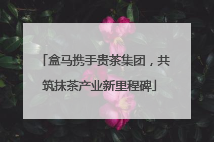 盒马携手贵茶集团，共筑抹茶产业新里程碑