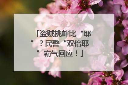 盗贼挑衅比“耶”？民警“双倍耶”霸气回应！