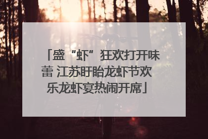 盛“虾”狂欢打开味蕾 江苏盱眙龙虾节欢乐龙虾宴热闹开席