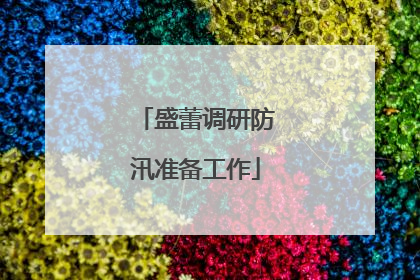盛蕾调研防汛准备工作