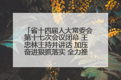 省十四届人大常委会第十七次会议闭幕 王忠林主持并讲话 加压奋进狠抓落实 全力推动支点建设成势见效