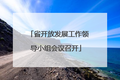 省开放发展工作领导小组会议召开