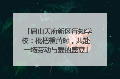 眉山天府新区行知学校：枇杷橙黄时，共赴一场劳动与爱的盛宴