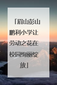 眉山彭山鹏利小学让劳动之花在校园绚丽绽放