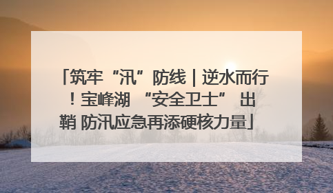 筑牢“汛”防线｜逆水而行！宝峰湖 “安全卫士” 出鞘 防汛应急再添硬核力量
