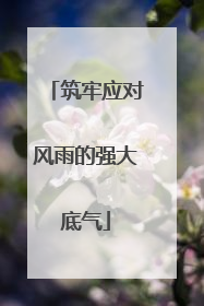 筑牢应对风雨的强大底气