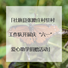 社旗县张腰庄村驻村工作队开展庆“六一”爱心助学捐赠活动