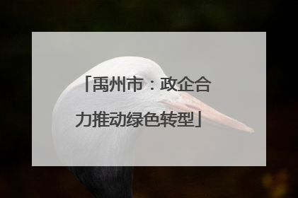禹州市：政企合力推动绿色转型