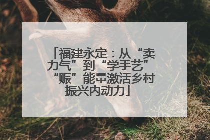 福建永定：从“卖力气”到“学手艺”“赈”能量激活乡村振兴内动力
