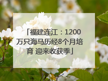 福建连江：1200万只海马历经8个月培育 迎来收获季