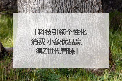 科技引领个性化消费 小象优品赢得Z世代青睐