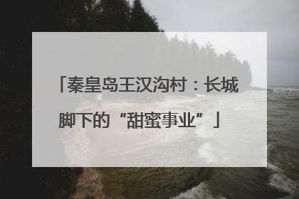 秦皇岛王汉沟村：长城脚下的“甜蜜事业”