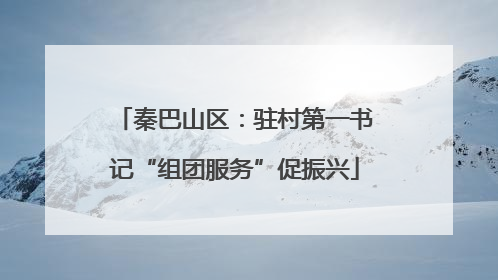 秦巴山区：驻村第一书记“组团服务”促振兴
