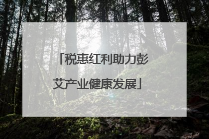 税惠红利助力彭艾产业健康发展