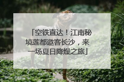 空铁直达！江南秘境莲都邀客长沙，来一场夏日降燥之旅
